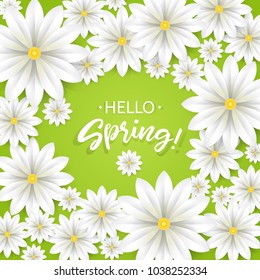 Hello Spring.Hand lettering with white flowers frame.Paper chamomile on green background. Vector illustration