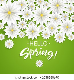 Hello Spring.Hand lettering with white flowers border.Paper chamomile on green background. Vector illustration