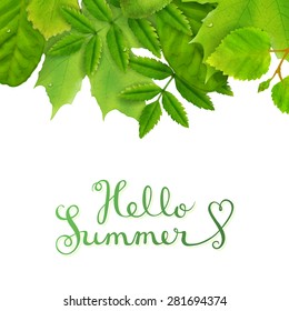 Hello summer background, border with fresh green leaves, vector illustration