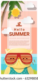 Hello summer background with cat wearing sunglasses , vector , illustration