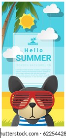 Hello summer background with dog wearing sunglasses , vector , illustration