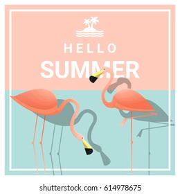 Hello summer background with two pink flamingos , vector , illustration