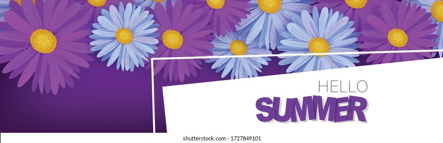 Hello Summer banner or header Blue and purple daisy flowers. Vector illustration.