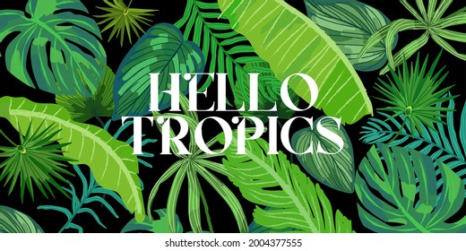 Hola banner de verano, ánimo de verano. Fondo tropical con hojas de palma coloridas sobre fondo negro. Ilustración vectorial de las junglas.