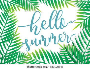 Hello Summer with beach palm background