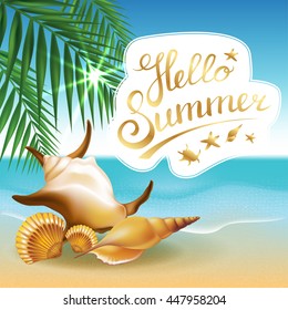 Hello Summer in beach seashore with shells. Vector Illustration.