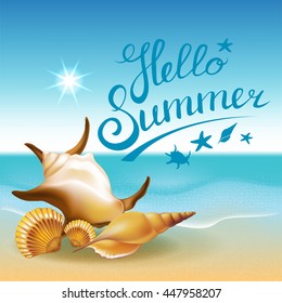 Hello Summer in beach seashore with shells. Vector Illustration.