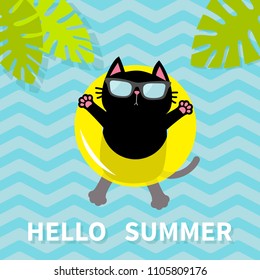 Hello Summer. Black cat floating on yellow air pool water circle. Lifebuoy. Palm tree leaf. Cute cartoon relaxing character. Sunglasses. Water with waves. Flat design. Vector illustration