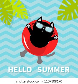 Hello Summer. Black cat floating on red air pool water circle. Lifebuoy. Palm tree leaf. Cute cartoon relaxing character. Sunglasses. Water with waves. Flat design. Vector illustration
