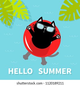 Hello Summer. Black cat floating on red air pool water circle. Sunglasses. Lifebuoy. Palm tree leaf. Cute cartoon relaxing character. Water waves. Flat design. Vector illustration