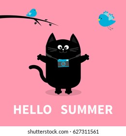 Hello Summer. Black Cat. Photo Camera, Bird, Branch. Cute Cartoon Character. Greeting Card. Funny Pet Animal Collection. Flat Design. Pink Background. Vector Illustration