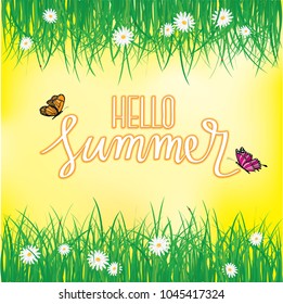 Hello Summer, Butterfly flying above the grass with flowers, Spring, Summer background
