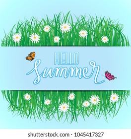 Hello Summer, Butterfly flying above the grass with flowers, Spring, Summer background