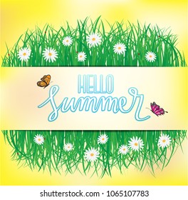Hello Summer, Butterfly flying above the grass with flowers, Spring, Summer background