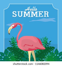 Hello summer card