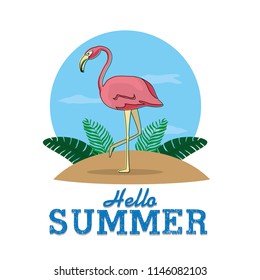 Hello summer card