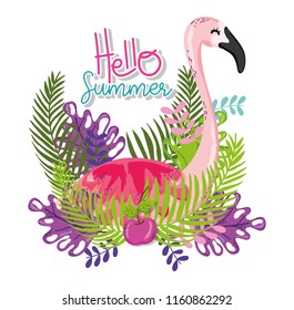 Hello summer card