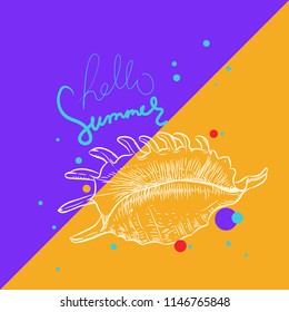 Hello summer card banner. Lambis spider conch, large sea snail, a marine gastropod mollusk in the family Strombidae, conchs. Sketch white contour on orange violet purple background. Vector