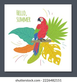 Hola tarjeta de verano o plantilla de banner con composición de hojas tropicales coloridas y pájaro de loro, ilustración plana vectorial aislada en fondo blanco.