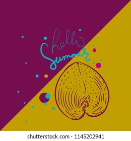 Hello summer card banner. Unique shells, Cardiidae bivalve molluscs Gastropoda Corculum cardissa or the heart cockle. Sketch contour on claret burgundy ocher beige background. Vector