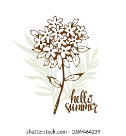 Hello summer card. Flower, leaves hand drawn isolated on white background. Handwriting font, lettering