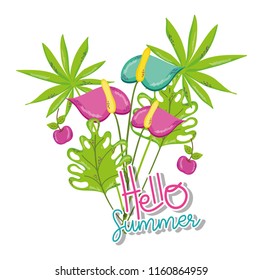 Hello summer cartoons