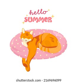 Hello Summer Cute Ginger Cat With Swim Ring Cartoon Design