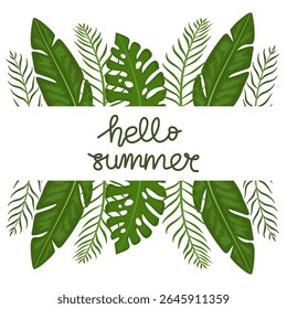 Hello summer with decorative tropical leaves banner