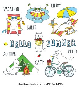 Hello summer. Doodle vector illustration of funny white cat enjoying the summer