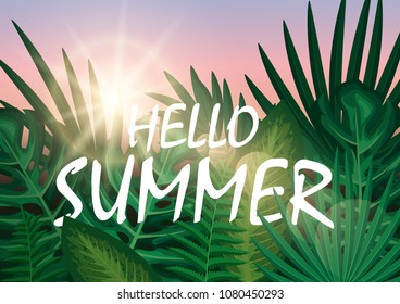Hello summer with exotic palm leaves.vector illustration