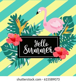 Hello summer with flamingo