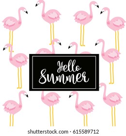Hello summer with flamingo