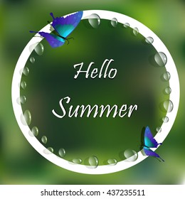 Hello summer. Frame for your text Vector illustration. butterfly and drops of water