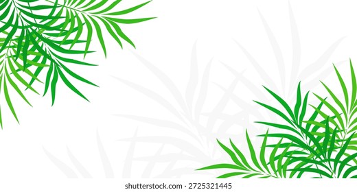 Hello Summer fun concept design, abstract illustration with jungle exotic leaves, colorful design, summer background
