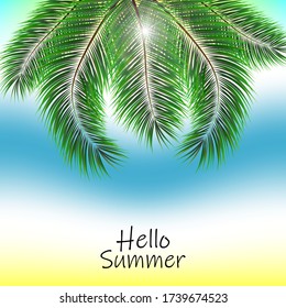 Hello summer. Green palm leaves on abstract sky background, design for poster, banner. Vector illustration