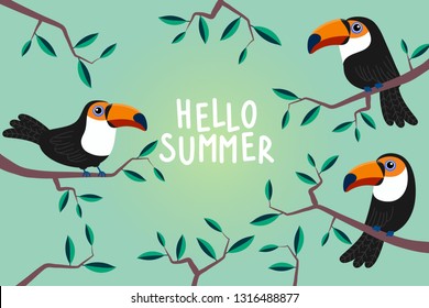 Hello summer greeting card with cute toucans in the jungle. Animal wildlife cartoon vector. Colourful bird character.