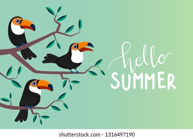 Hello summer greeting card with cute toucans in the jungle. Animal wildlife cartoon vector. Colourful bird character.