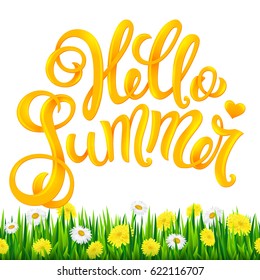 Hello summer hand drawn lettering. Vector illustration with realistic grass and flowers.