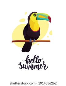 Hello summer hand lettering text with cute bright toucan. Vector illustration. Seasons greeting card.