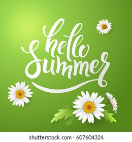 Hello Summer handmade lettering and realistic daisy, camomile flowers on green background. Vector illustration card