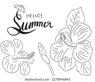 Hello summer with hibiscus flower hand drawn,calligraphy vector illustration.