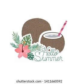 hello summer label with coconut icon