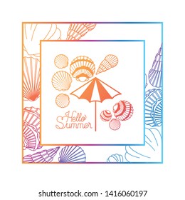 hello summer label with colorful frame