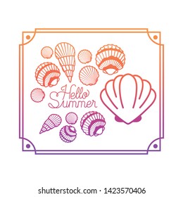 hello summer label with colorful frame