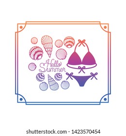 hello summer label with colorful frame