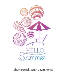 hello summer label with colorful image