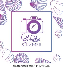 hello summer label with colorful image