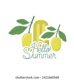 hello summer label with lemon ice cream