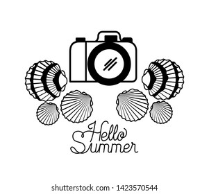 hello summer label with white background