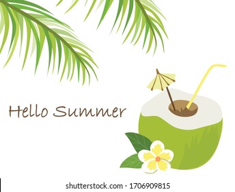 Hello summer lettering with coconut water drink and leaves tree isolated vector illustration. Holidays summer design concept background